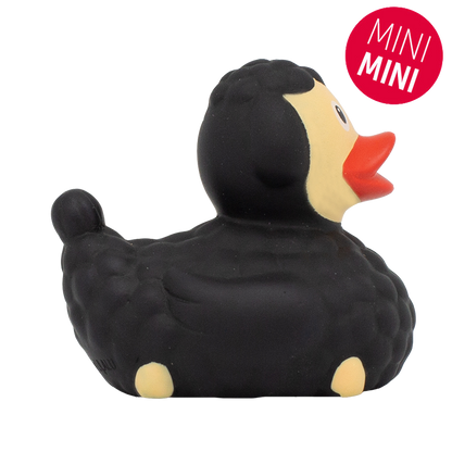 Mini Black Sheck Duck