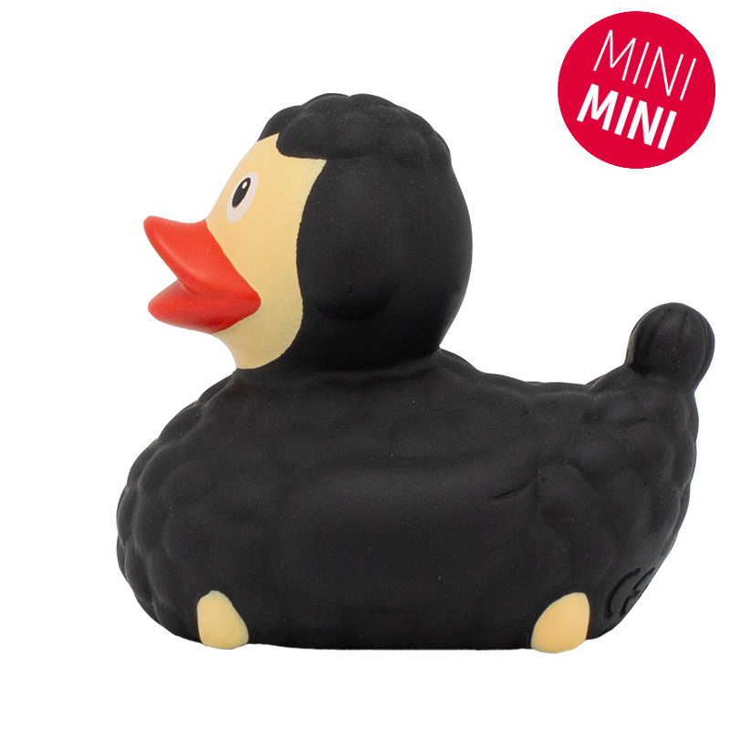 Mini Black Sheck Duck