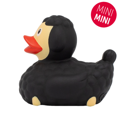 Mini Black Sheck Duck