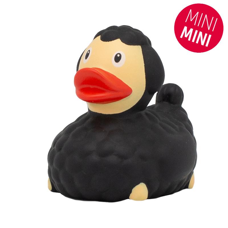 Mini Black Sheck Duck