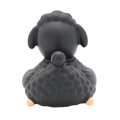 Canard Mouton Noir