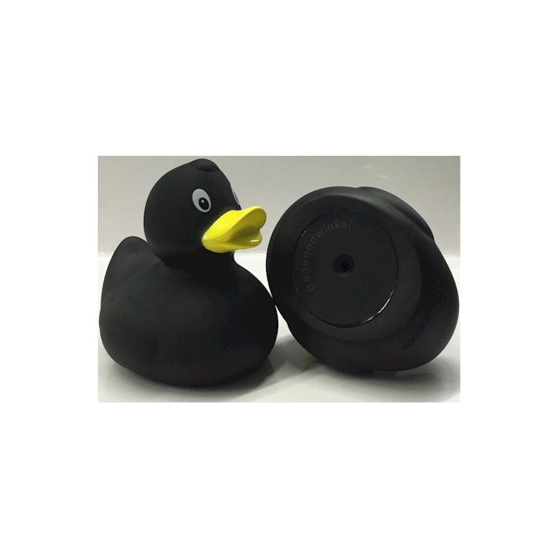 Original black duck