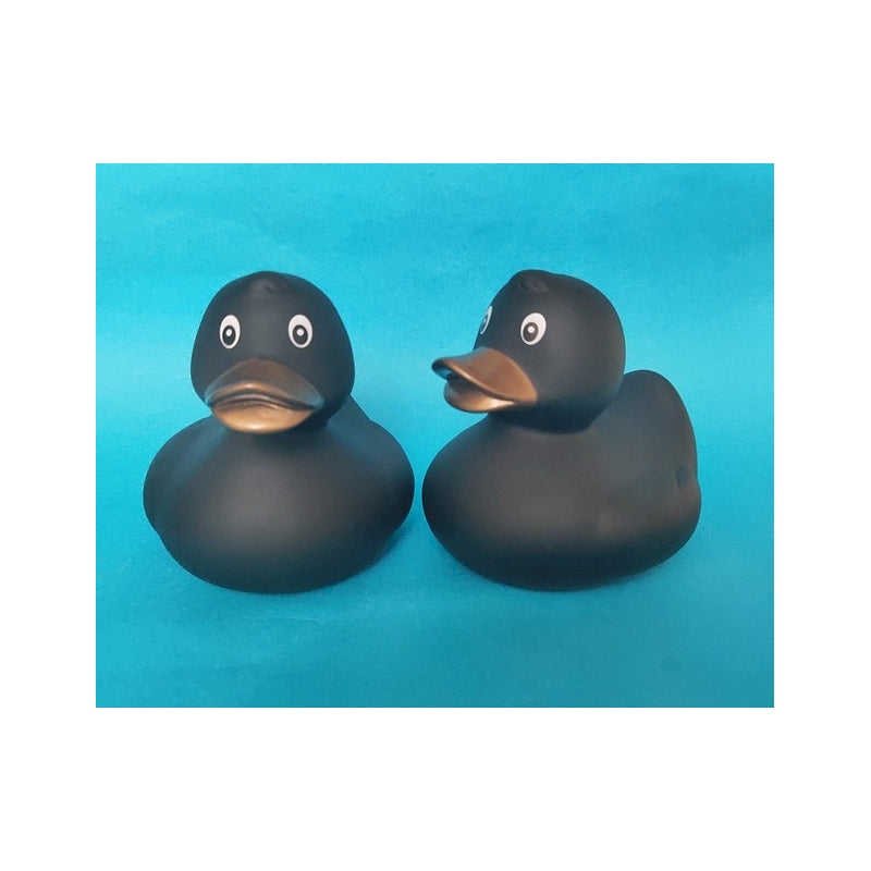 Original black duck