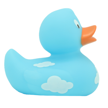 Canard Nuages