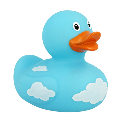 Canard Nuages