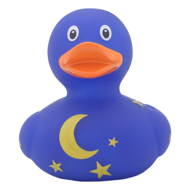 Canard Nuit Étoilée