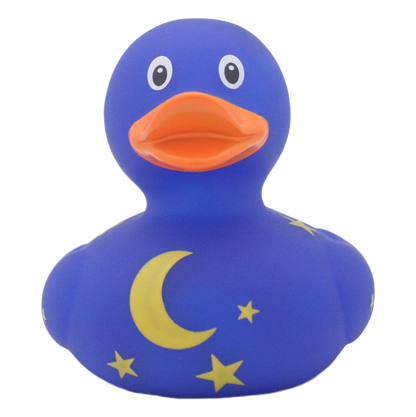 Starry Night Duck