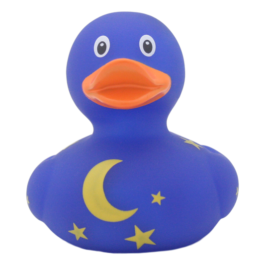 Canard Nuit Étoilée