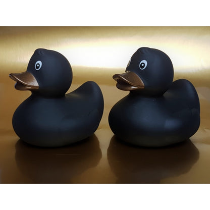 Original black duck