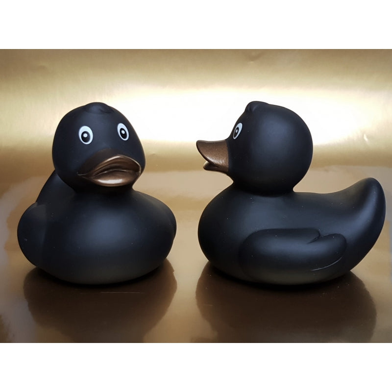 Original black duck