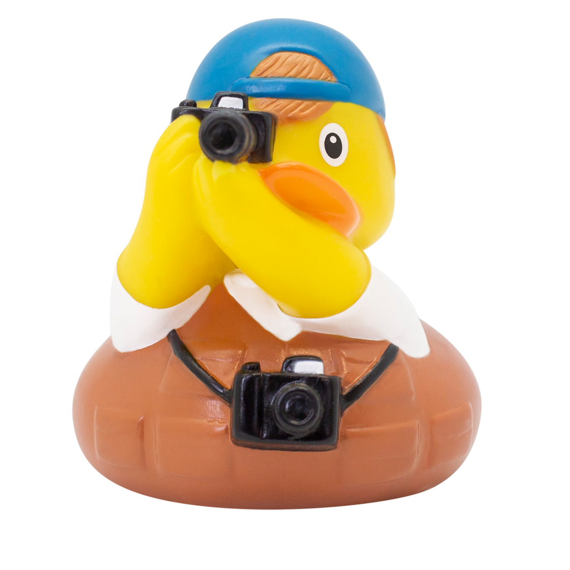 Canard Photographe