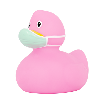 Rose Corona Duck