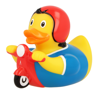 Scooter Duck