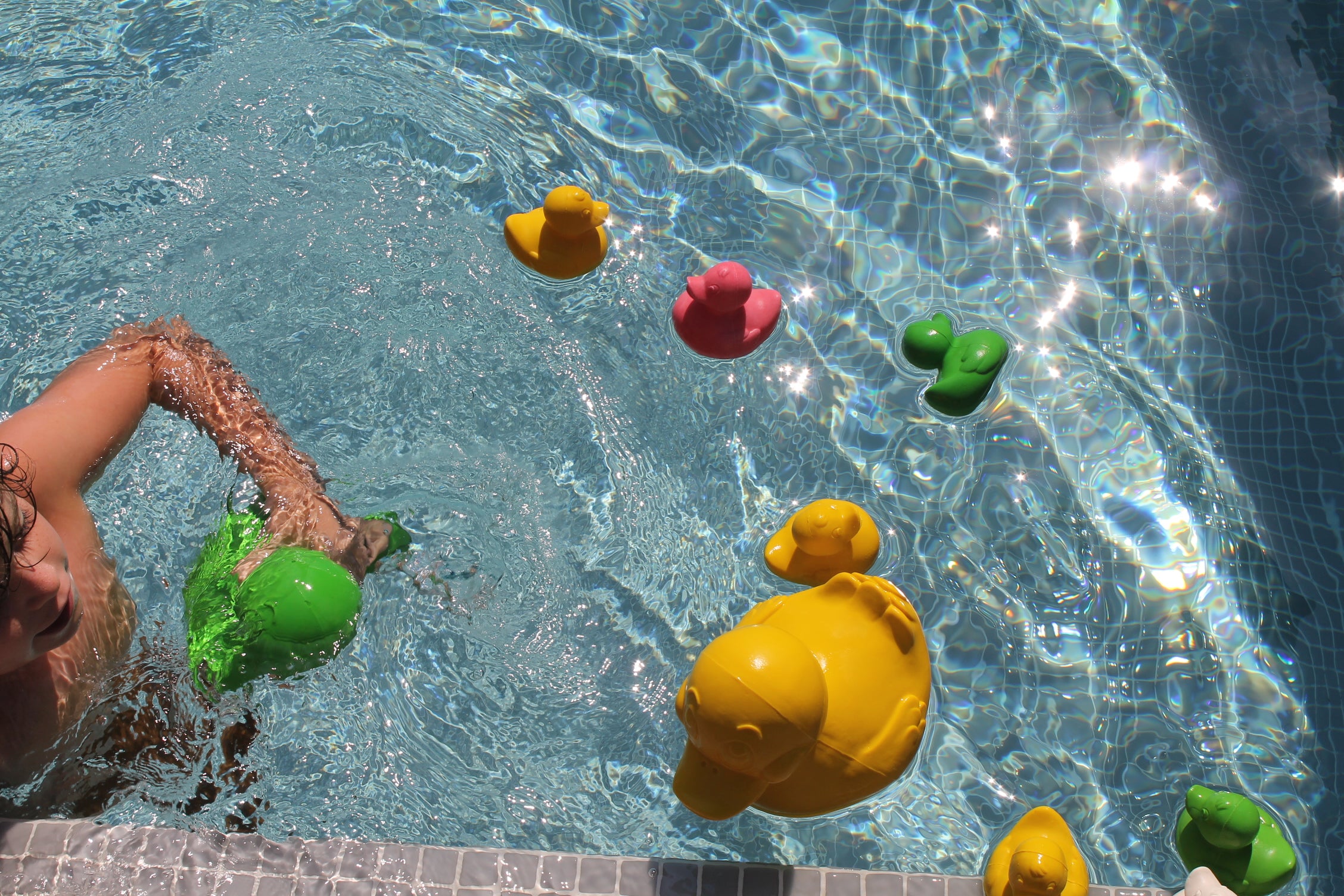 canard monochrome vert oli carol