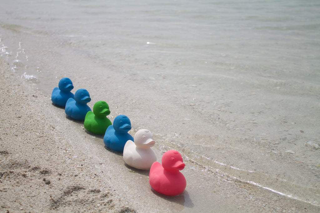 canard-monochrome-rose-oli-carol