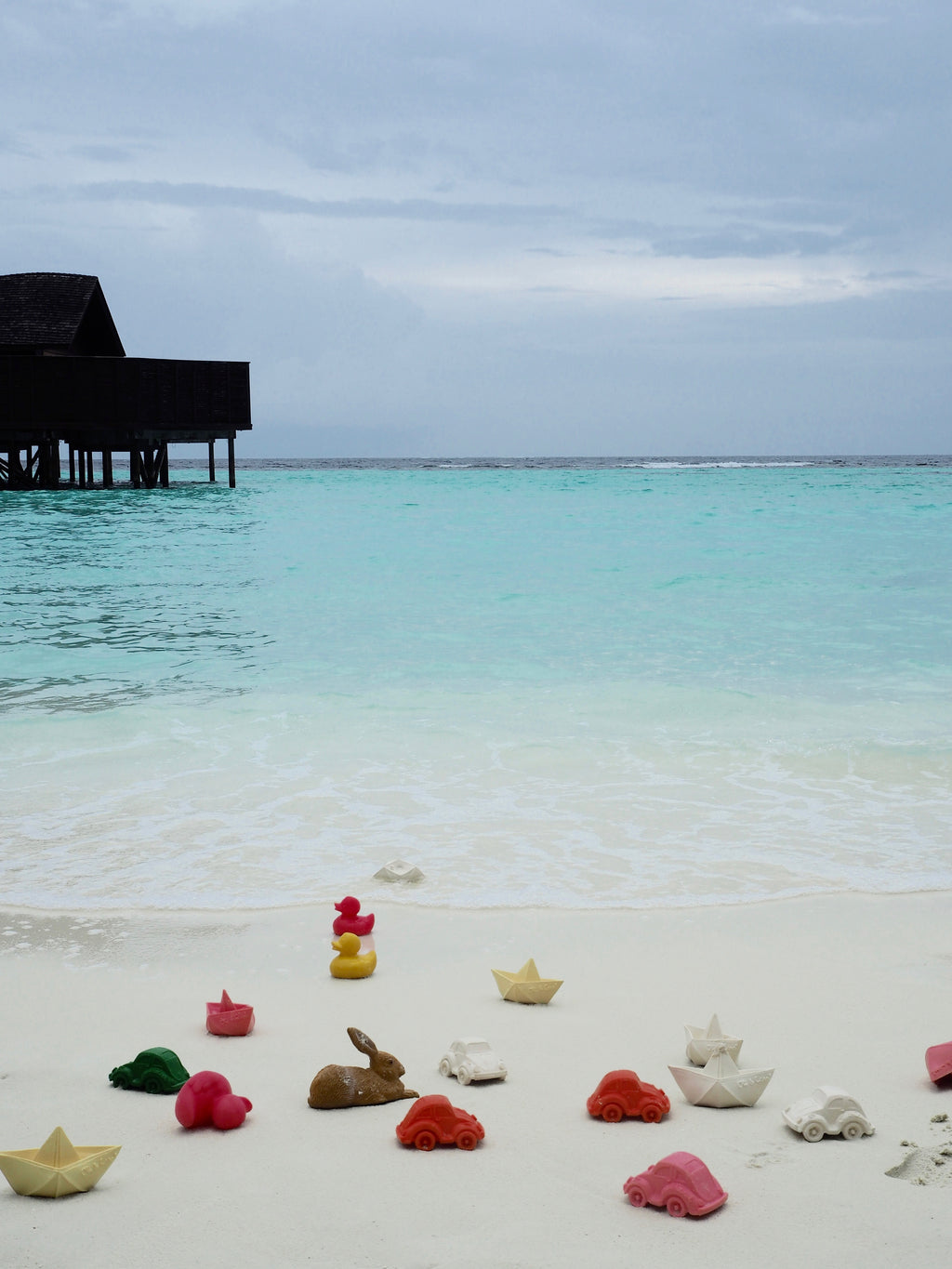 canard-monochrome-rose-oli-carol