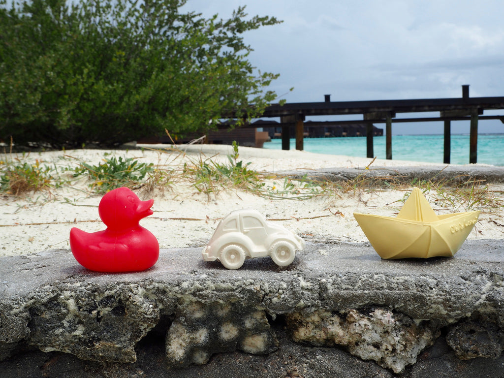 canard-monochrome-rose-oli-carol