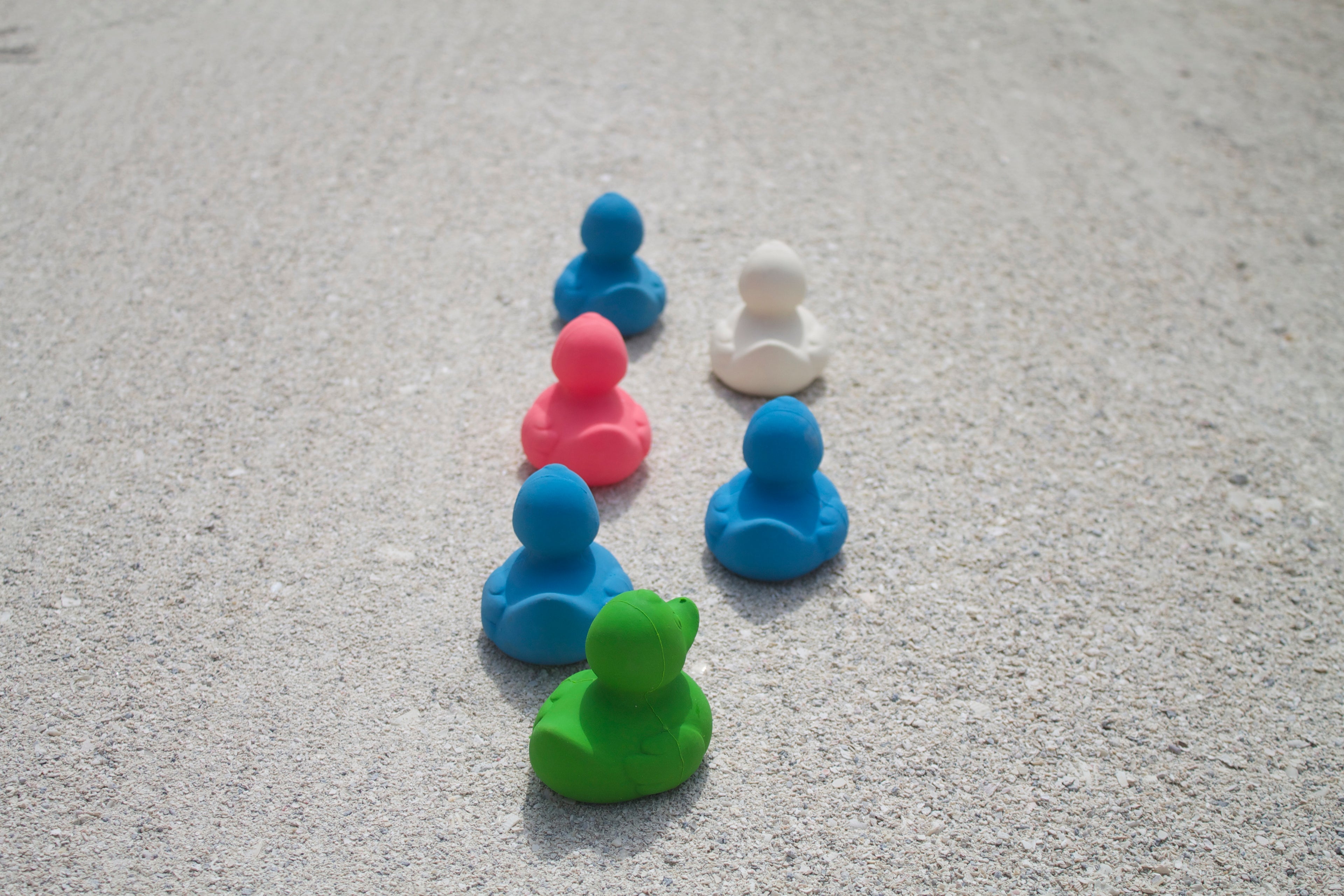 canard-monochrome-blanc-oli-carol