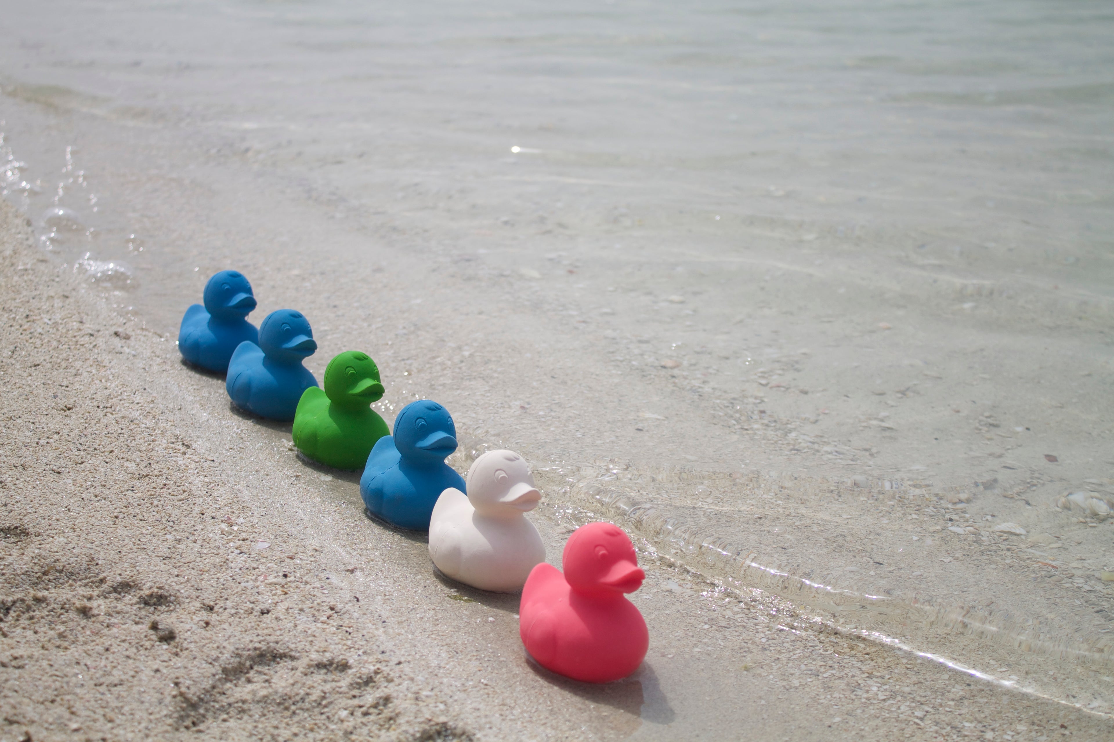 canard-monochrome-blanc-oli-carol