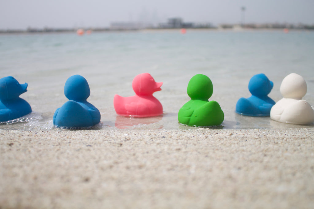 canard-monochrome-blanc-oli-carol