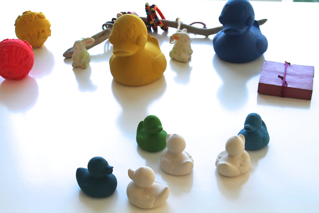 canard-monochrome-blanc-oli-carol