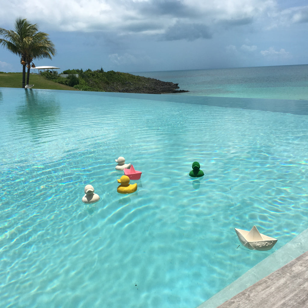 canard-monochrome-blanc-oli-carol