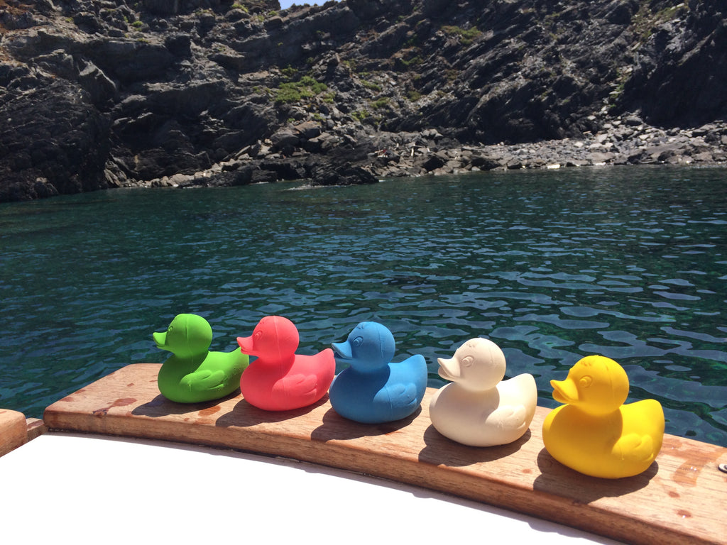 canard-monochrome-blanc-oli-carol