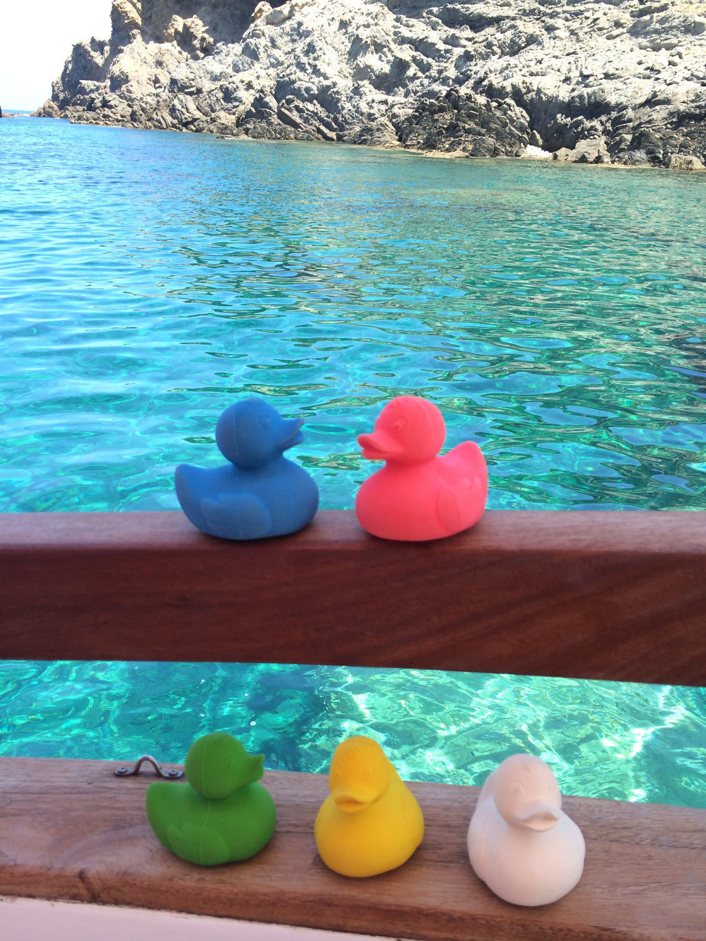 canard-monochrome-blanc-oli-carol