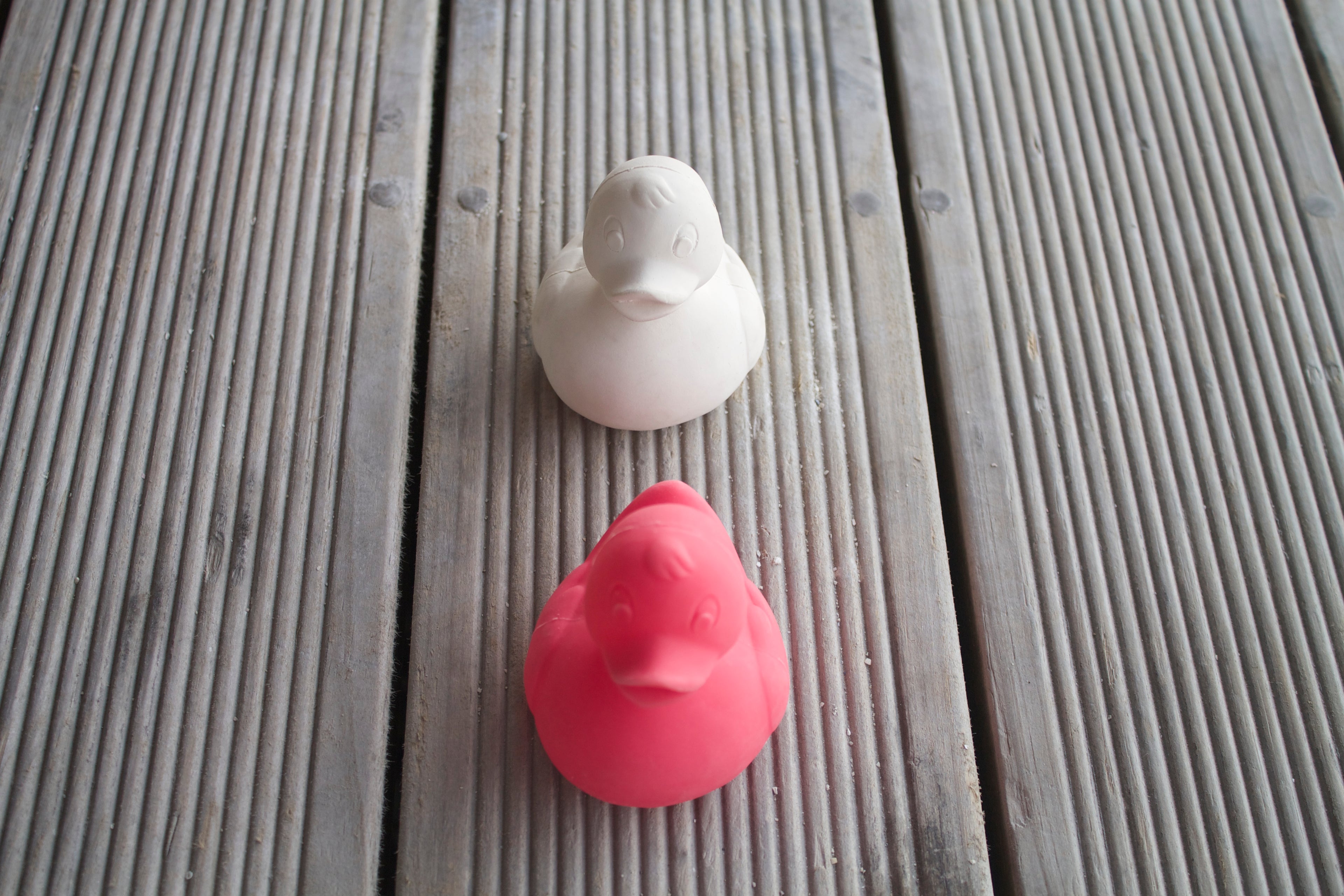 canard-monochrome-blanc-oli-carol