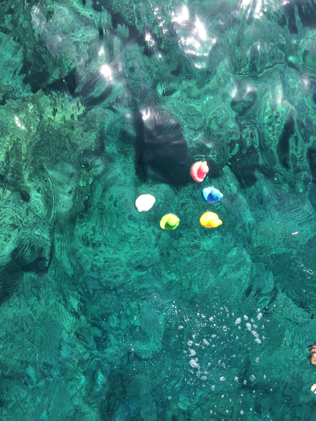 canard-monochrome-jaune-oli-carol