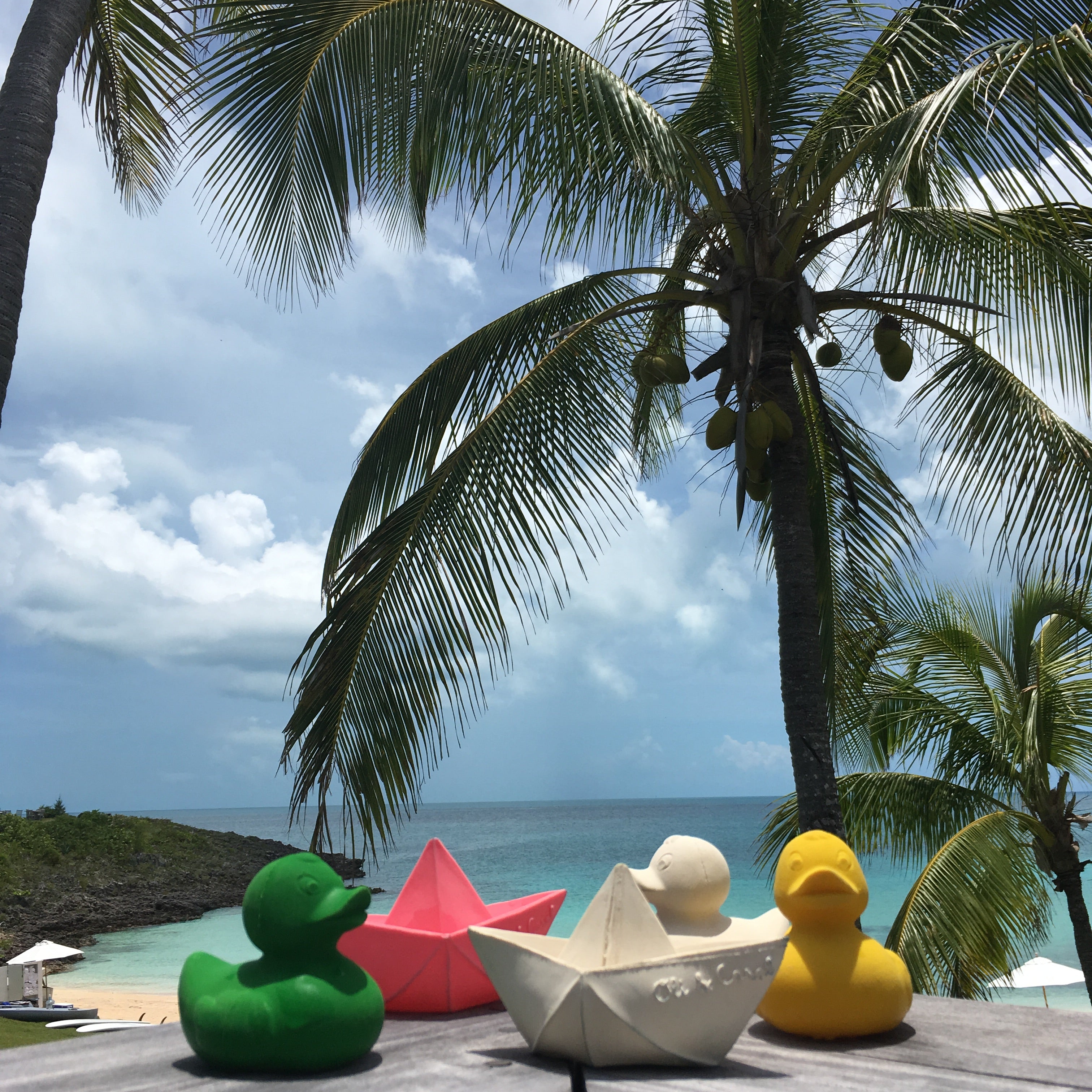 canard-monochrome-jaune-oli-carol