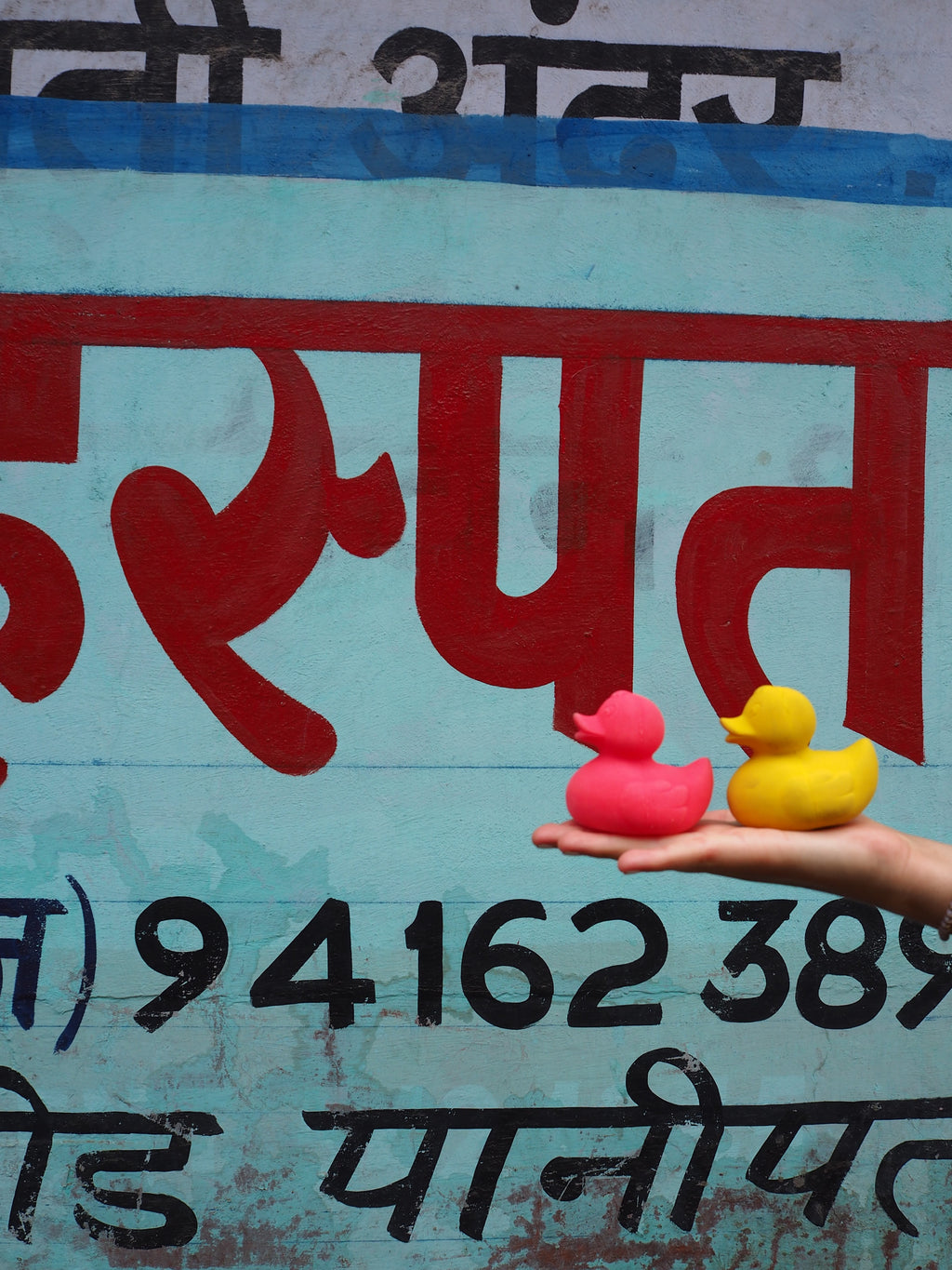 canard-monochrome-jaune-oli-carol