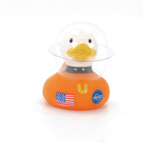 Mini Duck Space